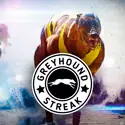 Greyhounds Streak
